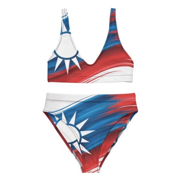 台灣旗幟現代藝術